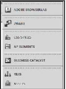 Gambar 2.9. Tampilan Panel Groups