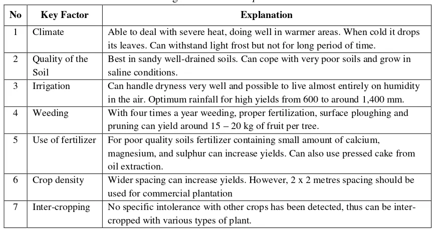 Table 3. Influencing Factors on Jatropha curcas Plantation 