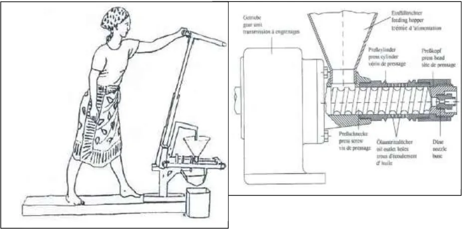 Figure 1. Presser-Expeller Equipments Source: Kurki & Bachmann (2006) 