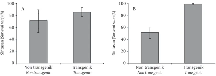 Gambar 3. Sintasan transgenik F 1  dan non-transgenik hasil uji tantang dengan KHV (A); data sintasan transgenik