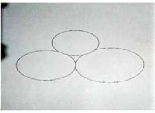 Gambar 1. Diagram Tiga Lingkaran