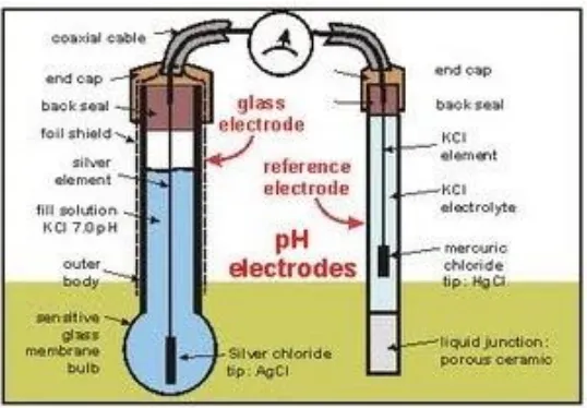 Gambar 2.12 Skema Elektroda pH Sensor 