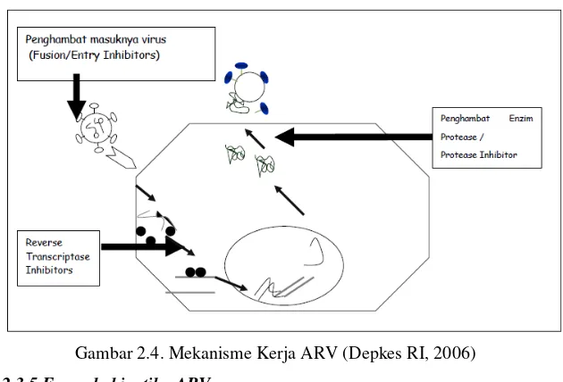 Gambar 2.4. Mekanisme Kerja ARV (Depkes RI, 2006) 