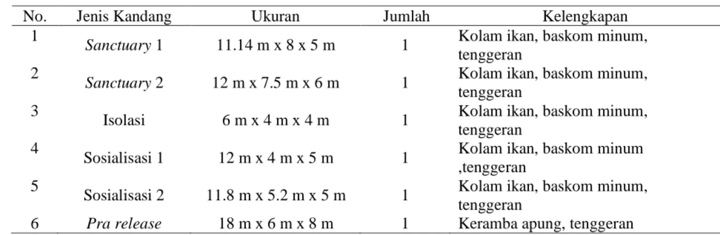 Tabel 2 Spesifikasi kandang elang bondol di Pusat Rehabilitasi di Pulau Kotok Besar 