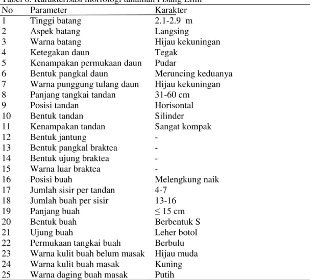 Tabel 8. Karakterisasi morfologi tanaman Pisang Lilin 