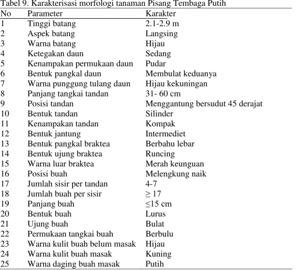 Tabel 9. Karakterisasi morfologi tanaman Pisang Tembaga Putih 