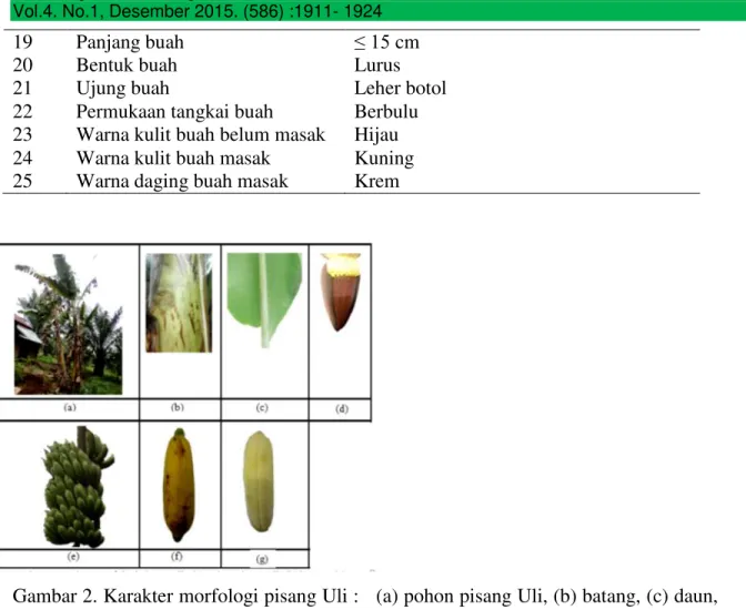 Gambar 2. Karakter morfologi pisang Uli :   (a) pohon pisang Uli, (b) batang, (c) daun,             (d)  jantung, (e) tandan, (f) buah, (g) daging buah 