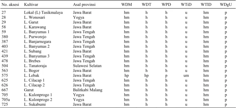 Tabel 1.  Data karakter morfologis sifat kualitatif ubi minor garut (M. arundinacea) koleksi plasma nutfah BB-Biogen, Cikeumeuh, Bogor,  2007