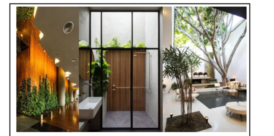 Gambar 2.9 Furnitur Alami 