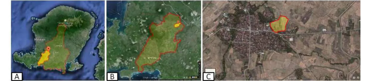 Gambar 1. A. Kabupaten Lombok Tengah, B. Praya Barat Daya (Prabarda), C. Desa Darek  (Sumber: Diolah dari Google Earth, 2014)