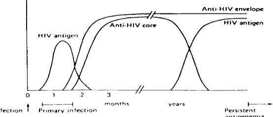 Gambar 2: Pembentukan antibodi dan antigenemia pada infeksi HIV.  