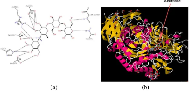 Gambar 1.1. (a) Interaksi antara acarbose, (b) Struktur sekunder dari interaksi antara �-glucosidase dari gula bit dengan �-glucosidase dari gula bit dengan acarbose (http://www.rcsb.org/pdb/explore/explore.do?structureId=3W37) 
