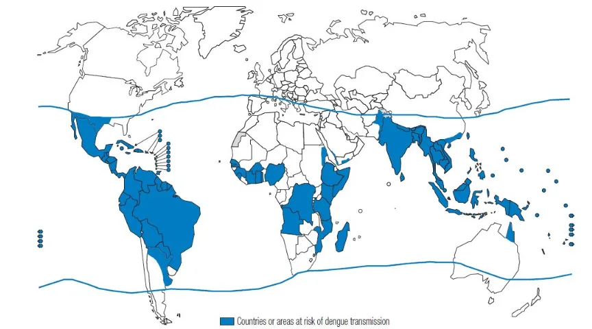 Figure 1. Dengue burden worldwide 