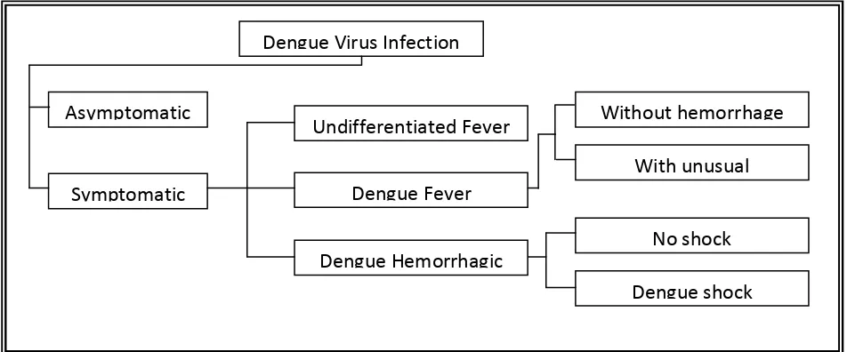 Figure 2. Manifestation of Dengue Infection 