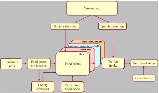 Figure 1. Conceptual framework for studying the effects of the economic crisis on food habits, dietary intake, and nutritional status