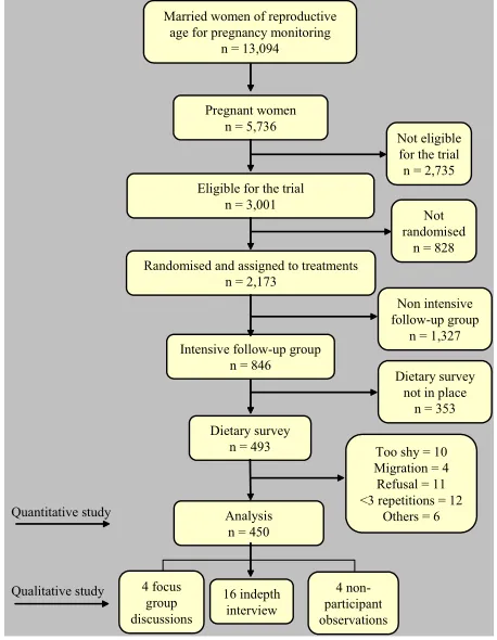 Figure 4. Sampling of quantitative and qualitative study 