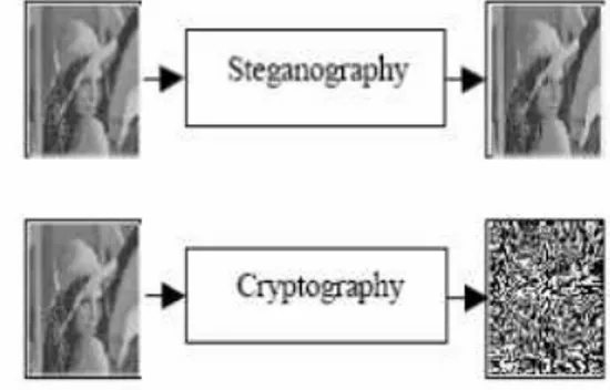 Gambar 2. Perbedaan Steganografi dan Kriptografi  B.   Peta Digital dalam GIS 