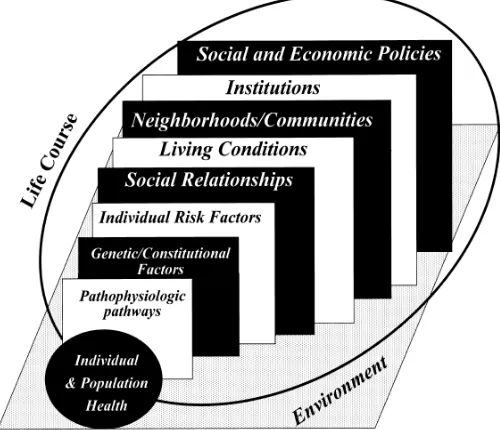 Gambar 1 Determinan hilir dan hulu bagi kesehatan individu dan kesehatan populasi (National Academy of Sciences, dikutip Kaplan, 2004)