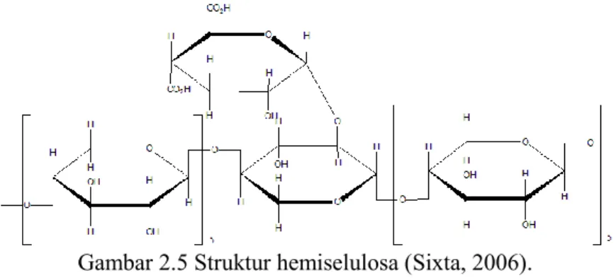 Gambar 2.5 Struktur hemiselulosa (Sixta, 2006).  2.3.3.3 Lignin 