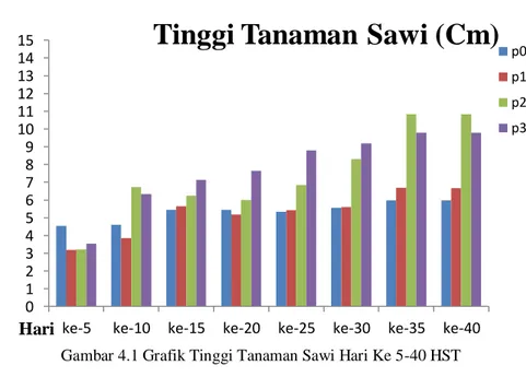 Gambar 4.1 Grafik Tinggi Tanaman Sawi Hari Ke 5-40 HST     Berdasarkan Gambar 4.1 grafik tinggi tanaman sawi P1 (2%),  P2  (4%)  dan  P3  (6%)  berbeda  nyata