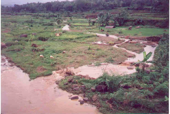 Figure 4. A landscape in a rural area of Jepara district 