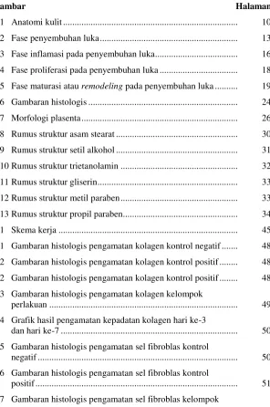 Gambar                                                                                            Halaman 