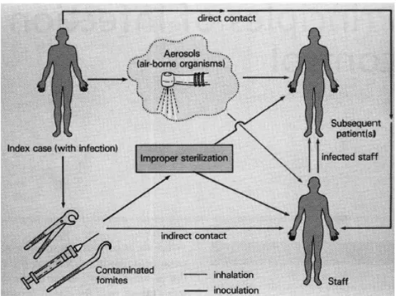 Gambar 1. Rute/ jalur-jalur infeksi silang (cross-infection) (Samaranayake, 2002) 