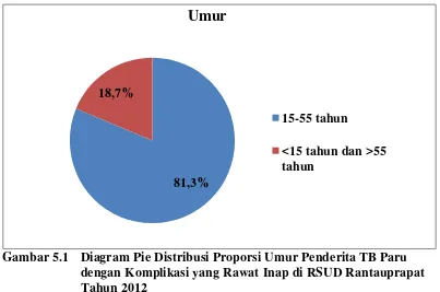 Gambar 5.1  Diagram Pie Distribusi Proporsi Umur Penderita TB Paru  