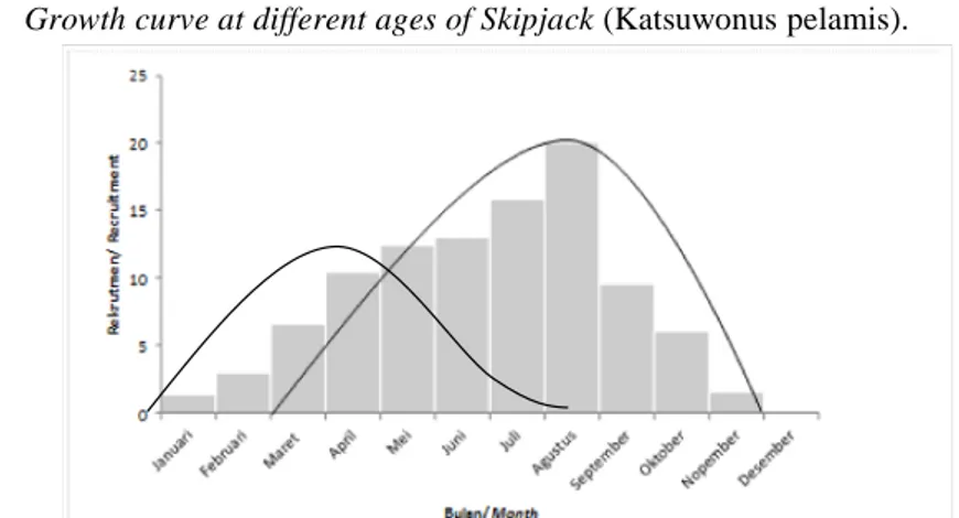 Gambar 6. Pola rekrutmen ikan cakalang di Samudera Hindia Selatan Jawa. Figure 6. The skipjack recruitment pattern in Indian Ocean South of Java