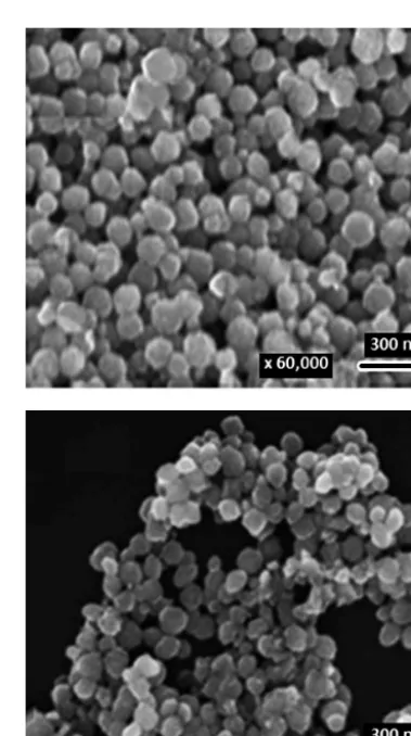 Fig. 5 Comparison between two SEM images of Fe2O3 nanoparticle catalyst. Top: sample calcined at 300 °C