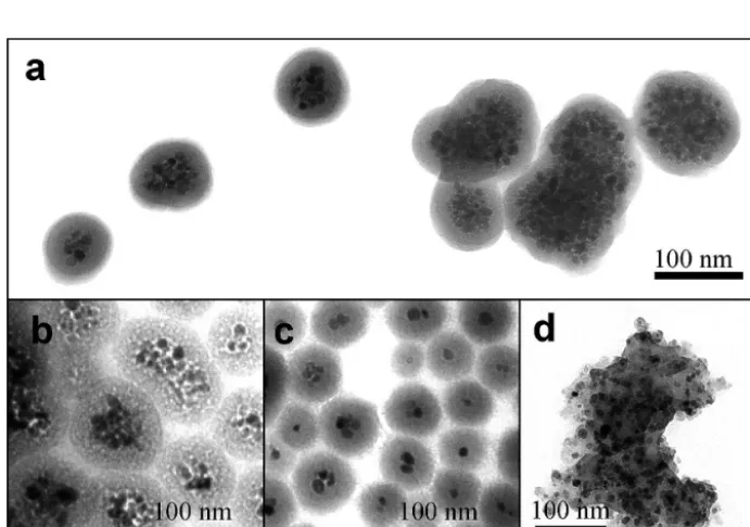 Fig. 7 TEM micrographs of shell-coated Fe3O4/SiO2 nanocomposites under different synthesis conditions, (a–c) within microemulsion region, (d) in the two-phase region