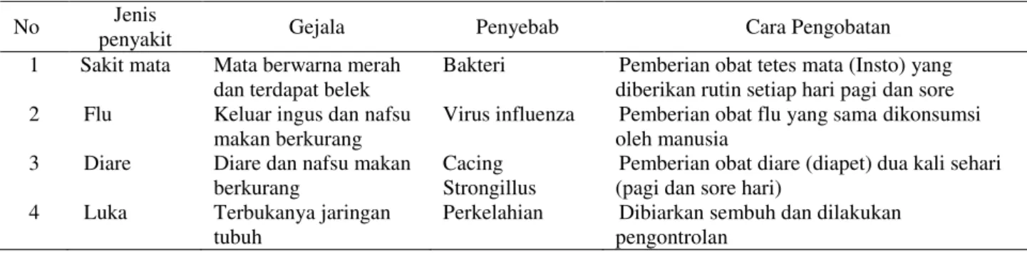 Tabel 2.  Jenis penyakit dan cara pengobatan penyakit orangutan di TS Cikembulan 