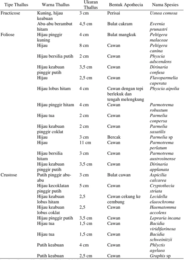 Tabel 4.1 Ciri-ciri lichenes pada tanaman kopi Desa Paya Tumpi Baru Kecamatan     Kebayakan Kabupaten Aceh Tengah  