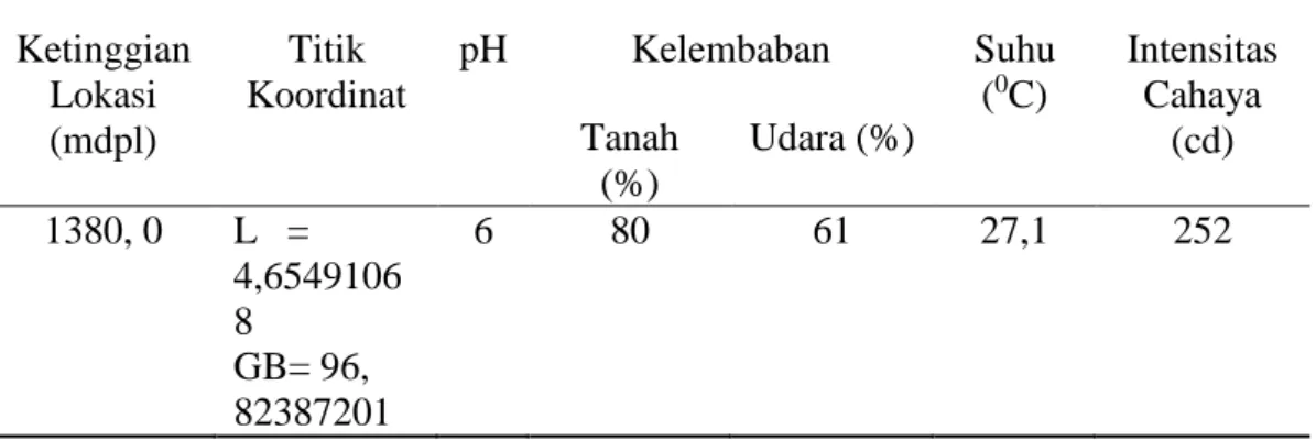 Tabel  4.3  Faktor  Fisik  Lingkungan  Stasiun  I  di  Desa  Paya  Tumpi  Baru  Kecamatan Kebayakan Kabupaten Aceh Tengah