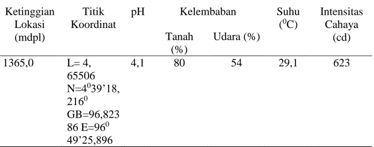 Tabel  4.4  Faktor  Fisik  Lingkungan  Stasiun  II  di  Desa  Paya  Tumpi  Baru  Kecamatan Kebayakan Kabupaten Aceh Tengah 