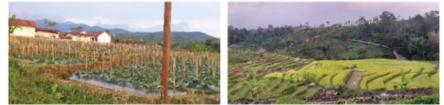 Gambar 1. Pemandangan alam Desa Pumbon  Sumber : Dokumestasi Pribadi, 2019 