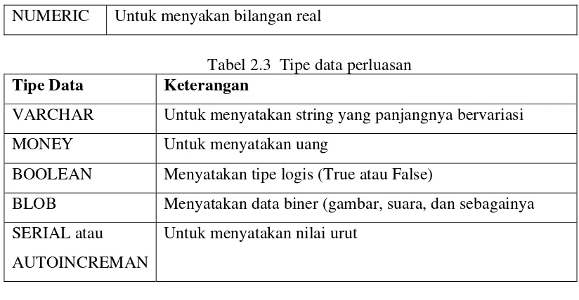 Tabel 2.3  Tipe data perluasan 