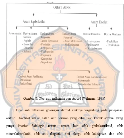 Gambar 8. Obat anti inflamasi non steroid (Wilmana, 1995) 