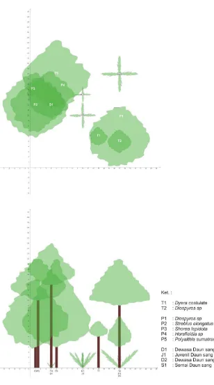 Gambar 4.8.  Diagram profil vertikal dan horisontal pada Plot 9 