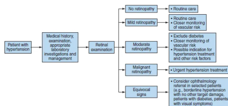 Gambar 1. Retinopati hipertensi menurut Keith  Wagener : A. Grade  I, B. Grade  II,  C