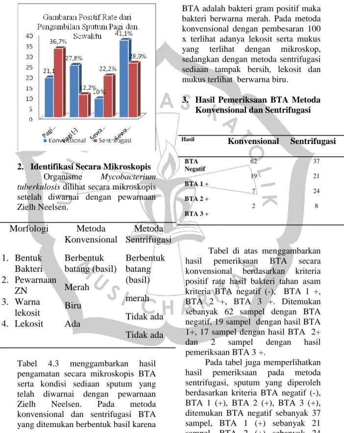 Tabel  4.3  menggambarkan  hasil  pengamatan  secara  mikroskopis  BTA  serta  kondisi  sediaan  sputum  yang  telah  diwarnai  dengan  pewarnaan  Zielh  Neelsen