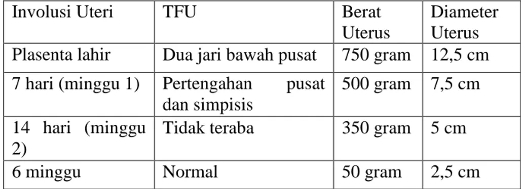 Tabel  2.7.  Perubahan-Perubahan  Normal  Pada  Uterus  Selama  Postpartum 