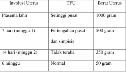 Tabel 3. Perubahan Normal Uterus selama Post Partum 