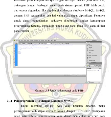 Gambar 3.3 Jendela dan panel pada PHP 