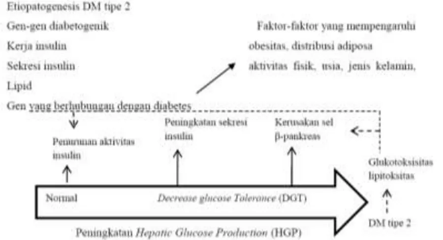 Gambar 1. Etiopatogenesis DM tipe 2 
