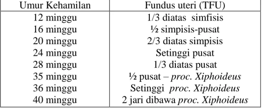 Tabel  2.6.TFU  dilakukan  dengan  palpasi  fundus  dan  membandingkan dengan patokan 
