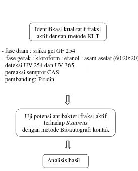 Gambar 1. Skema Penelitian Potensi Antibakteri Fraksi Floroform-Etanol-