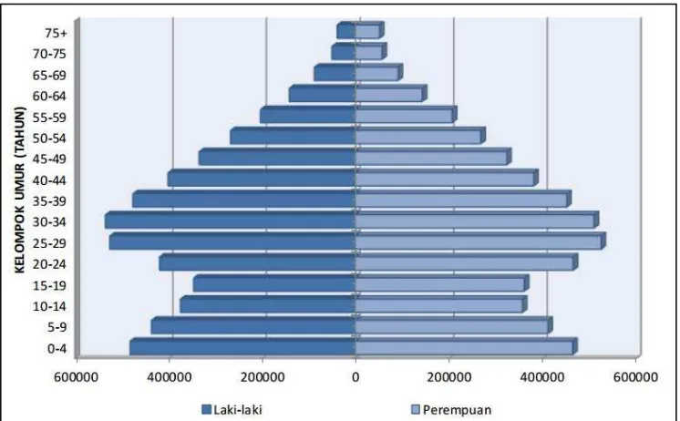 Gambar 2.16 Piramida Penduduk Provinsi DKI Jakarta Tahun 2015 Sumber: Badan Pusat Statistik Provinsi DKI Jakarta, 2016 