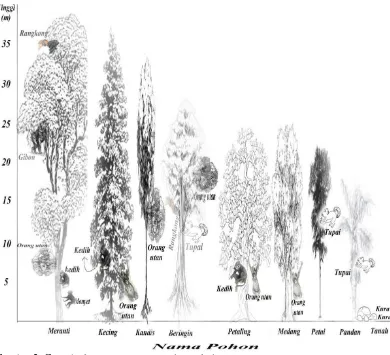 Gambar 2. Contoh sketsa pengamatan relung ekologi 