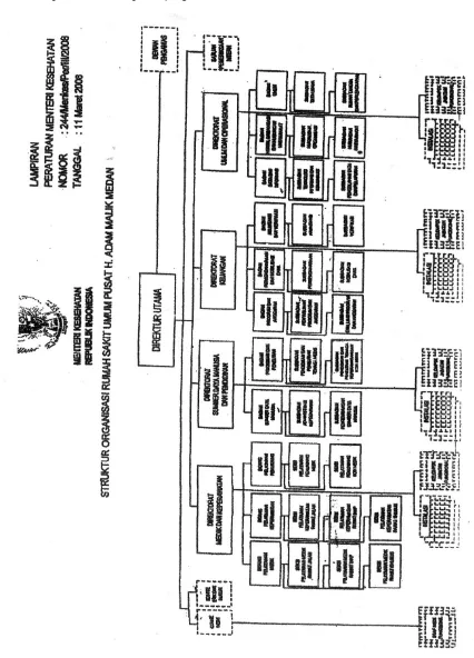 Gambar 3.1 Struktur organisasi RSUP H. Adam Malik 